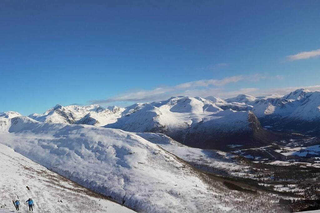 Kavli gjestehus - Isfjorden. view 4