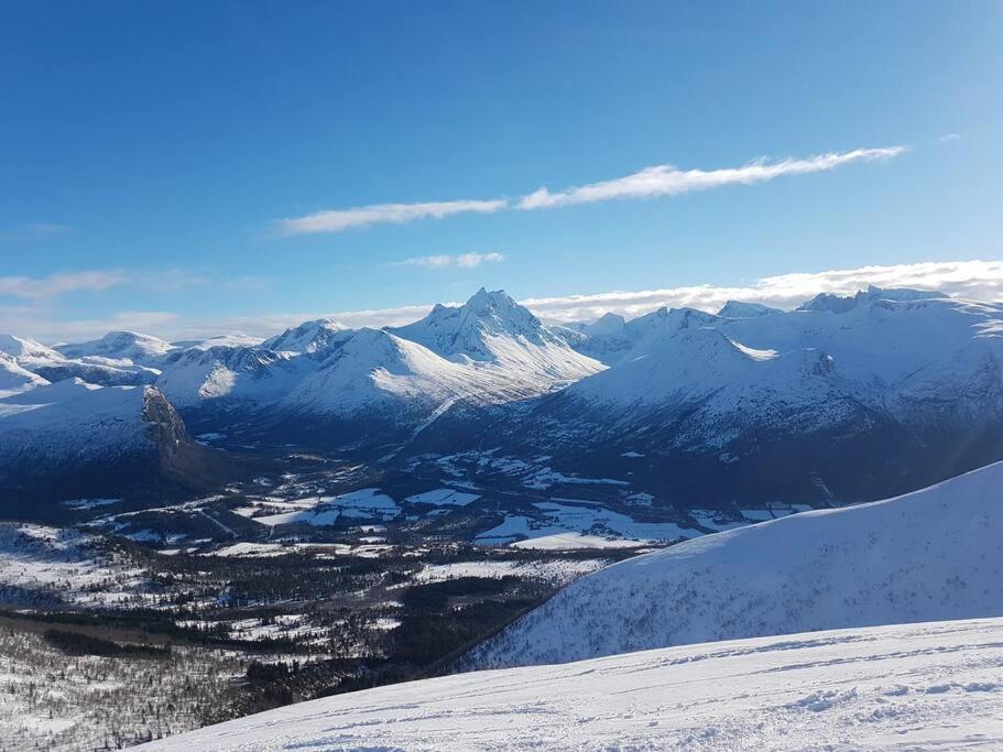 Kavli gjestehus - Isfjorden. view 5