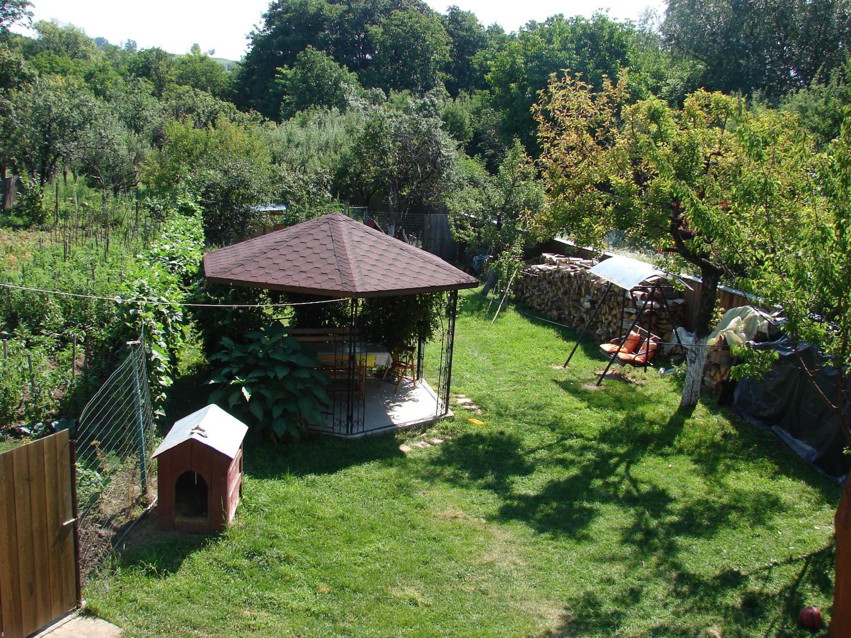Photo 25