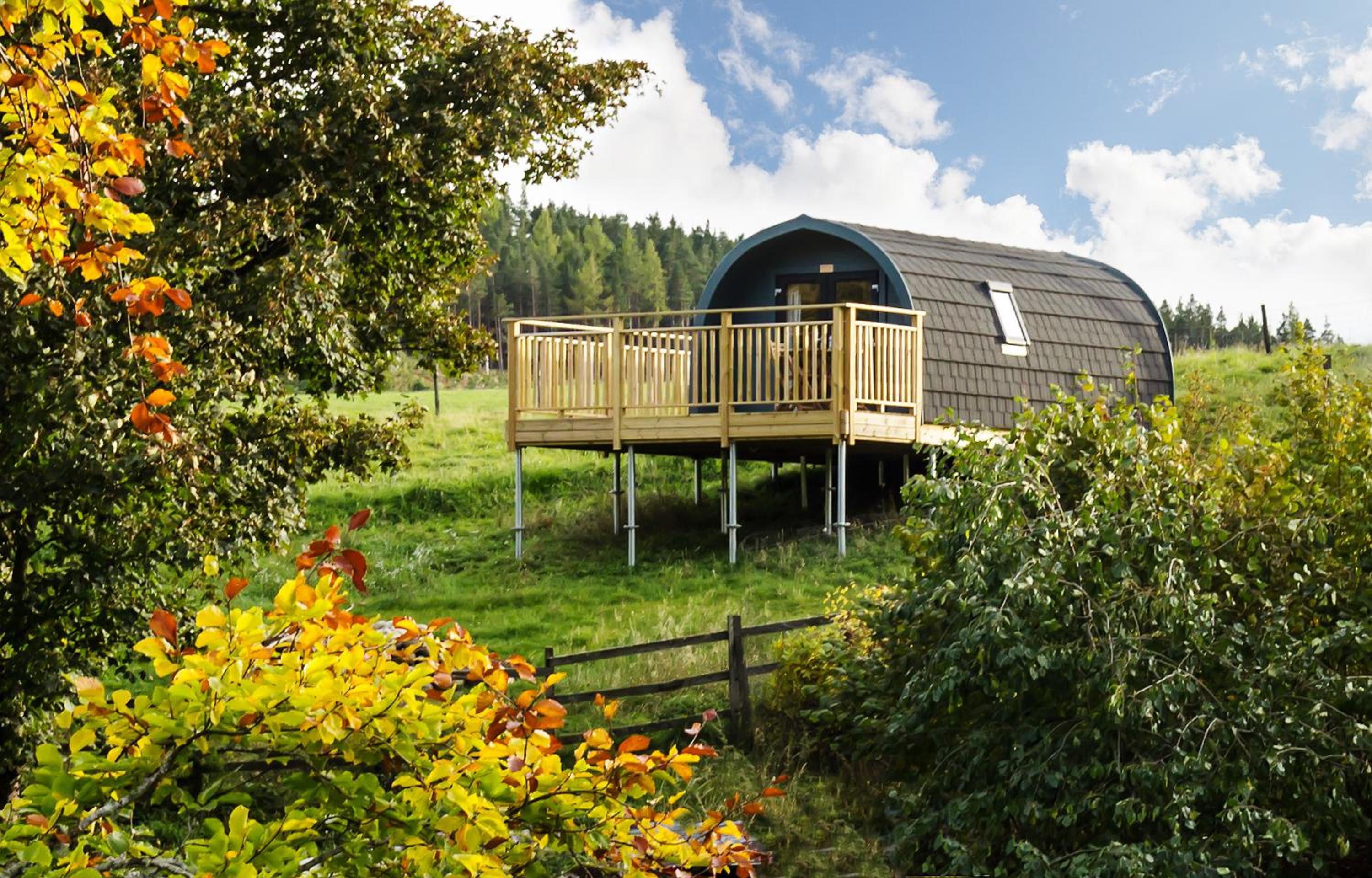 Spectacular Mountain View Ecopod view 5