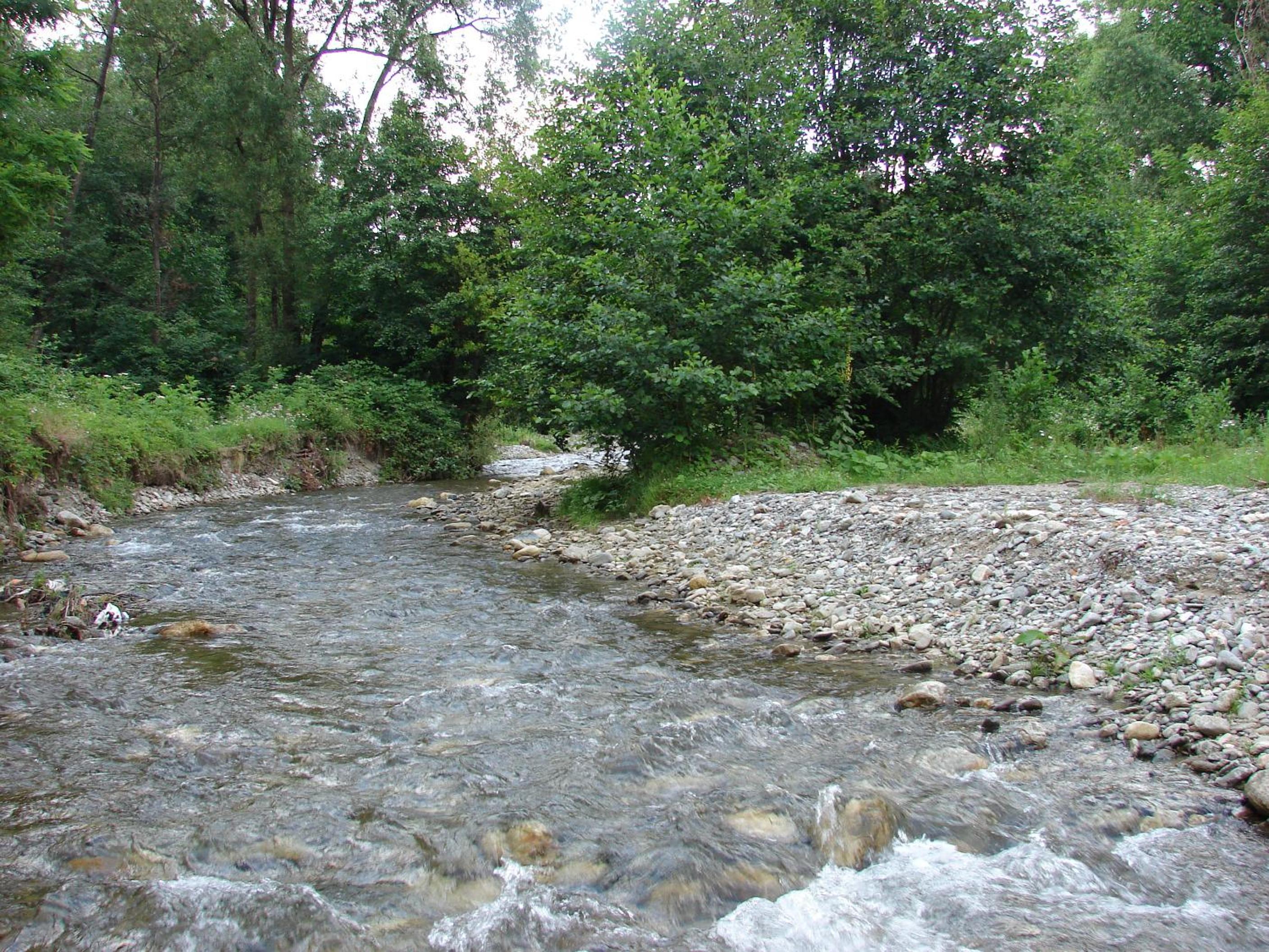 Photo 24