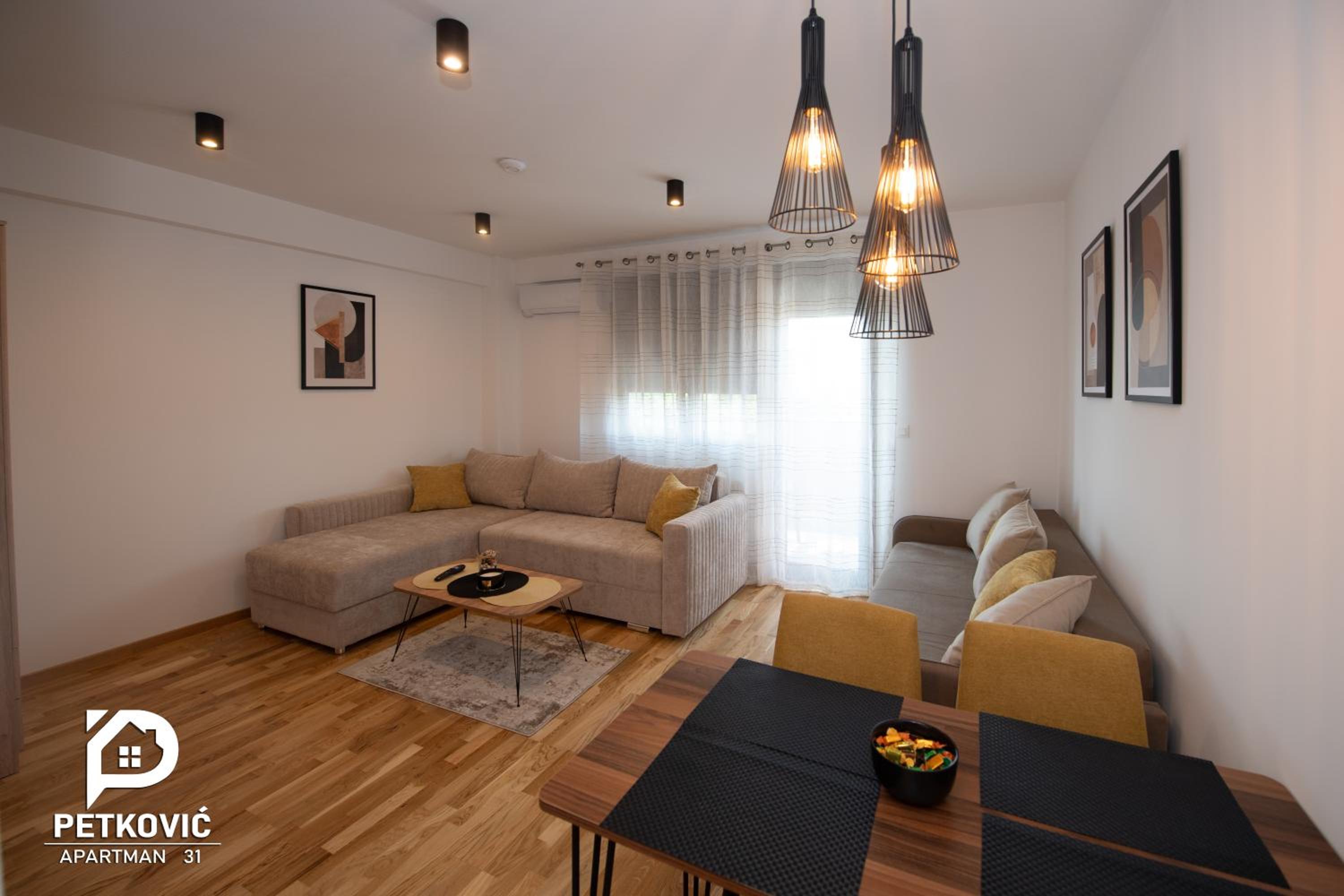 Petković apartmani 31 STUDIO view 4