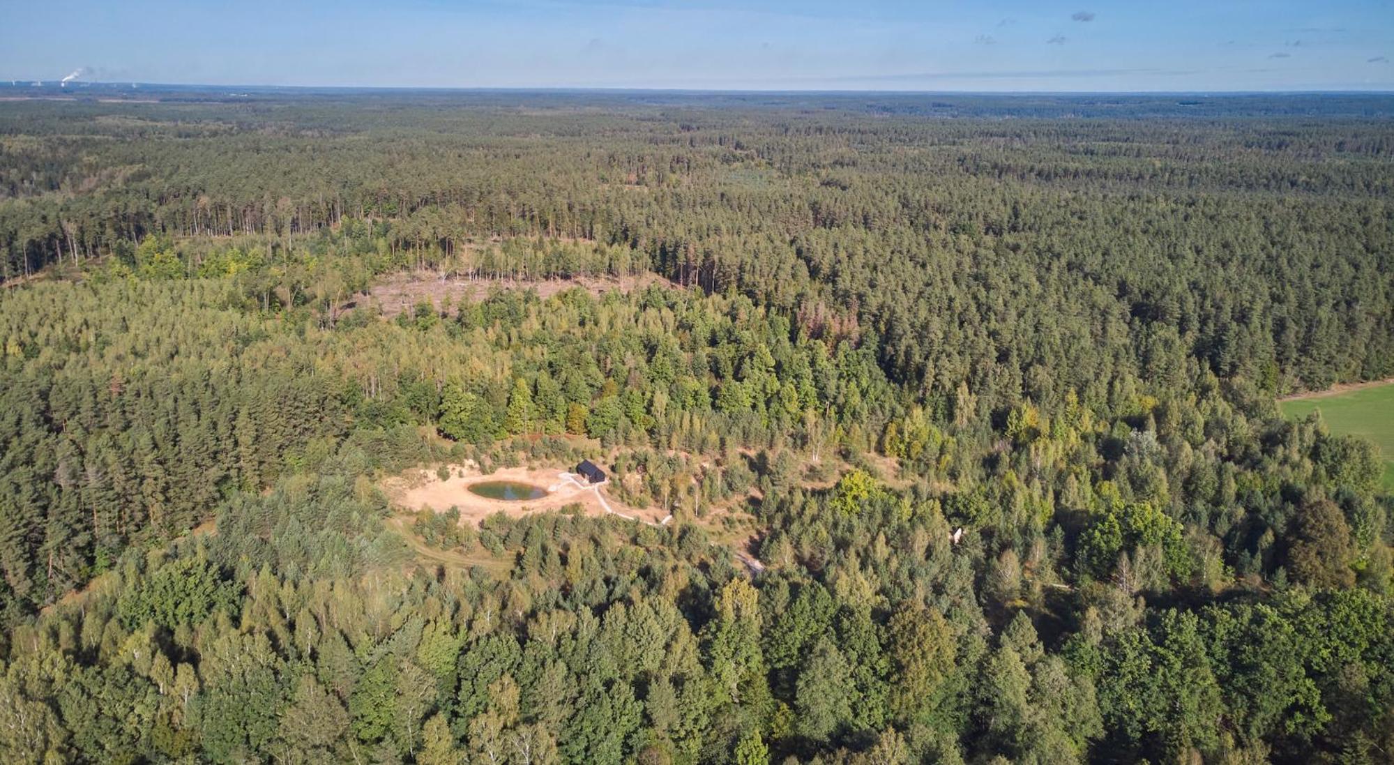 Forestic Lietuva