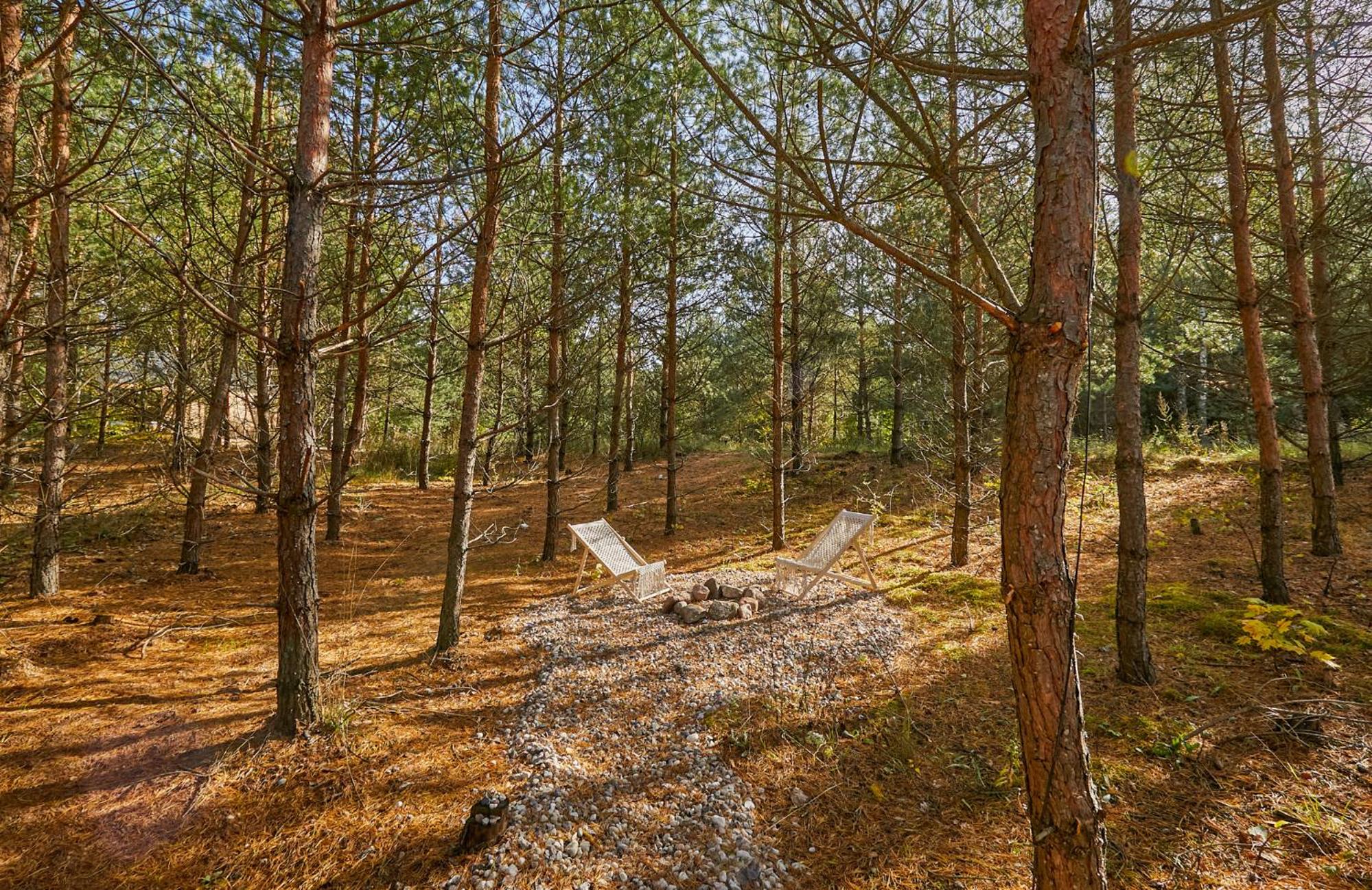 Forestic Lietuva