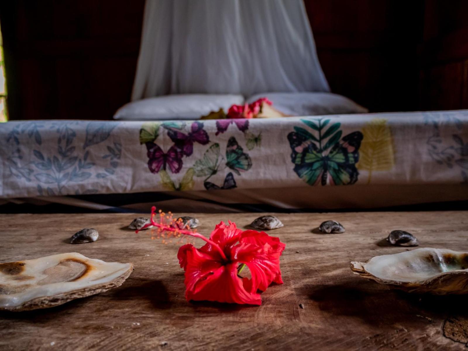 Ecohotel Riomar Mecana