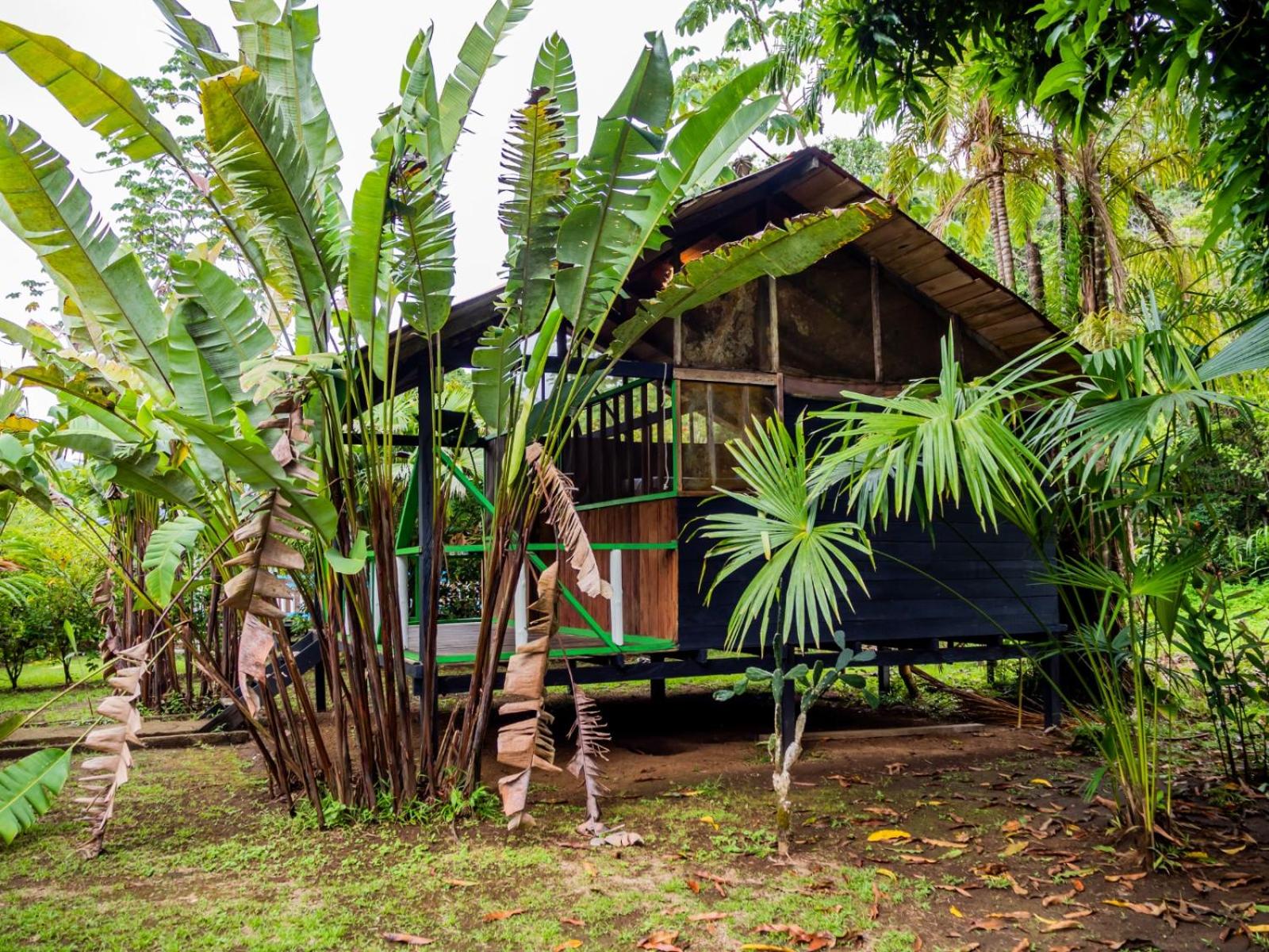 Ecohotel Riomar Mecana