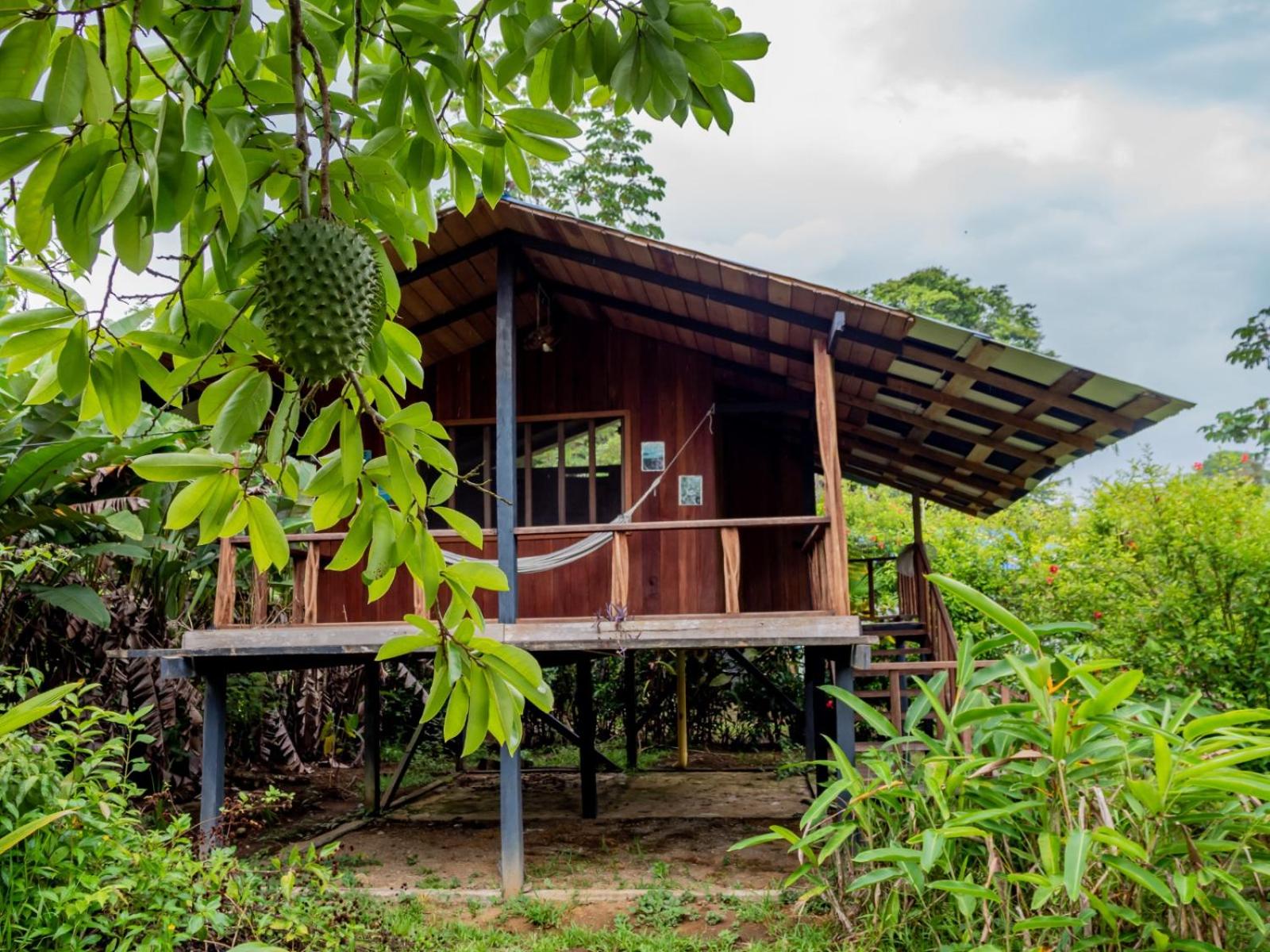 Ecohotel Riomar Mecana