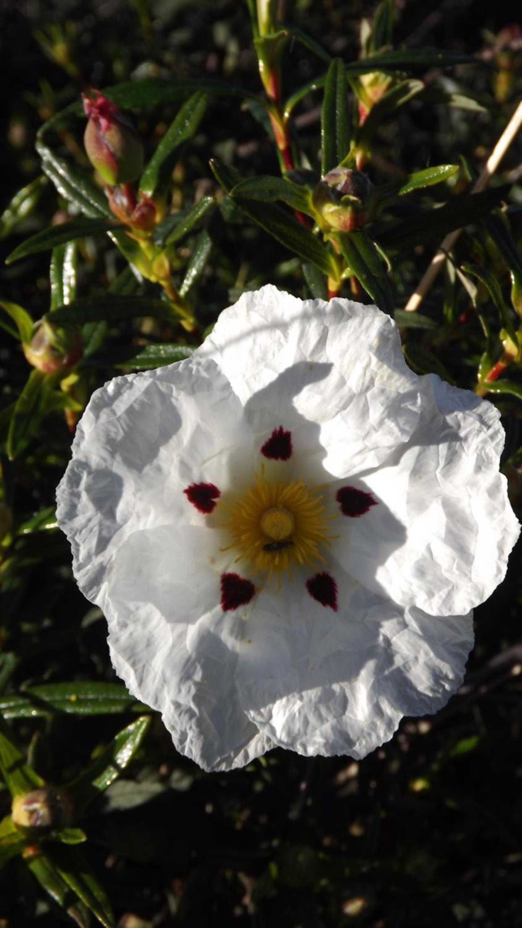 Photo 35