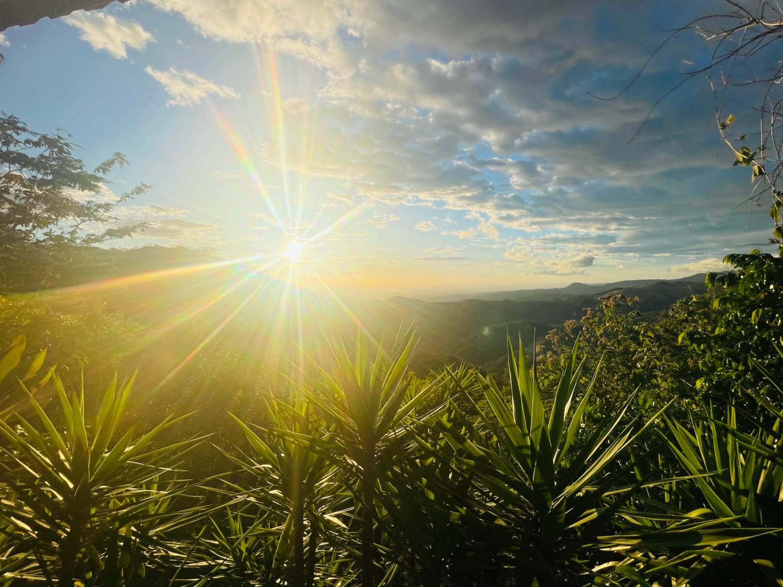 El Sol Monteverde view 2