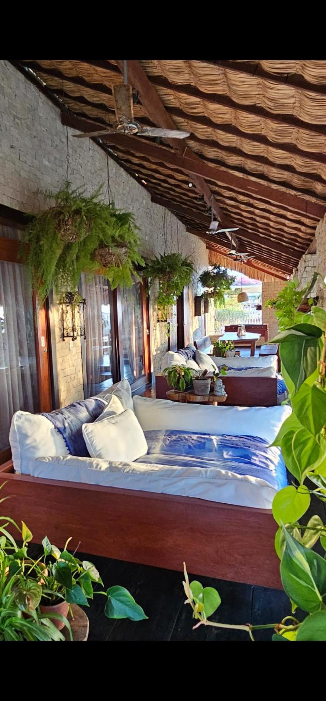 Casa Cactus Praia