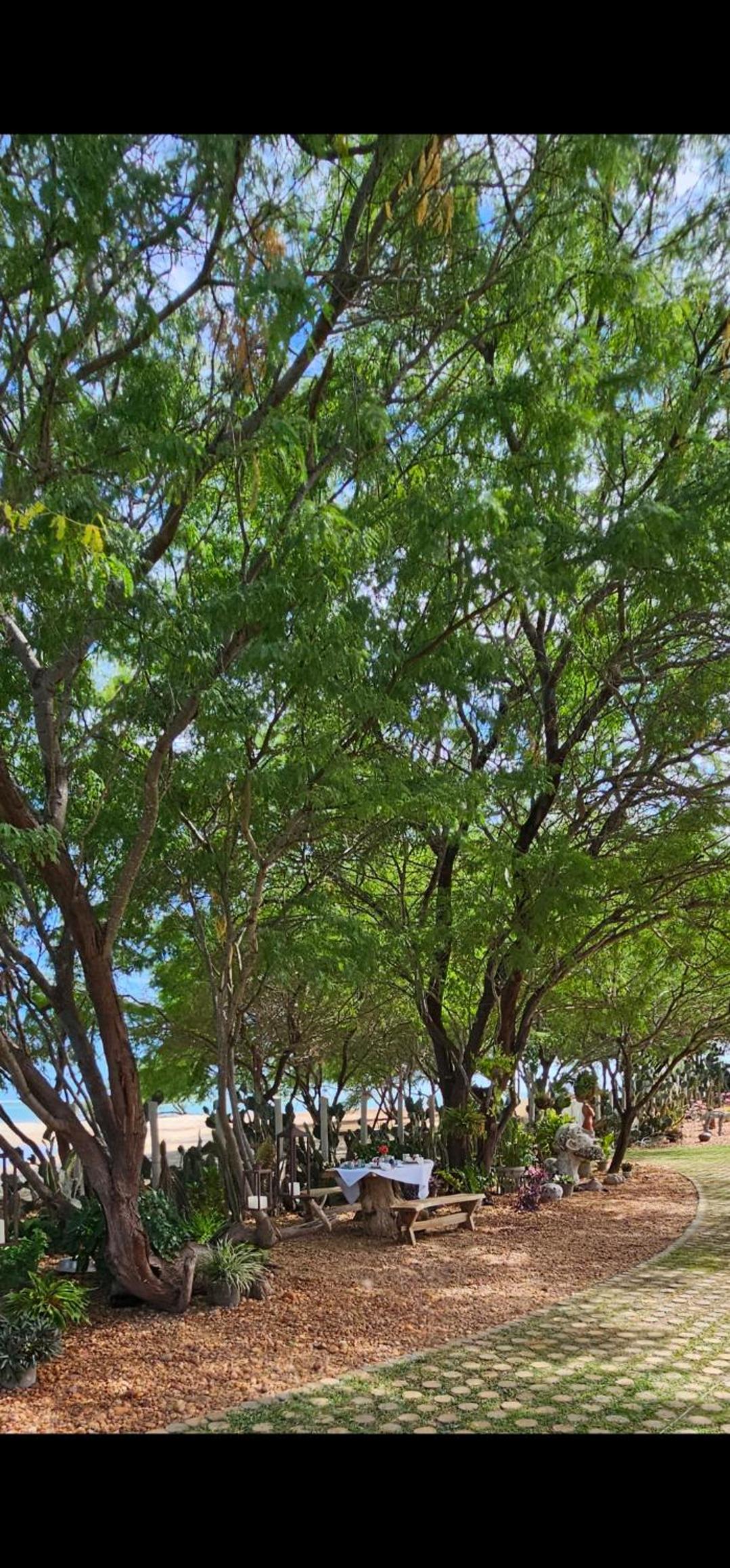 Casa Cactus Praia