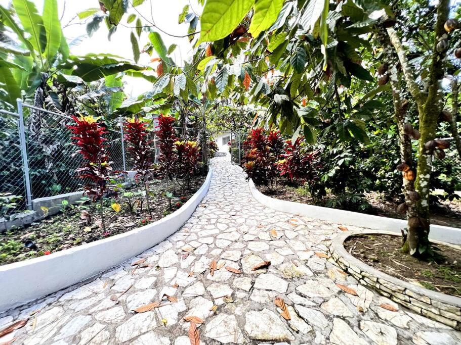 Villa escondida