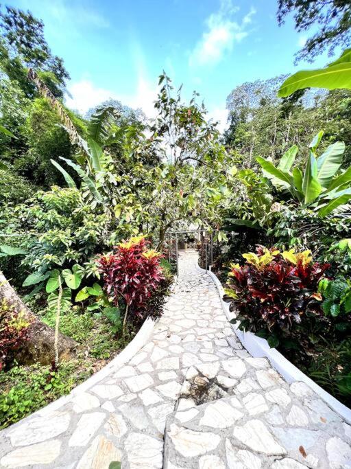 Villa escondida