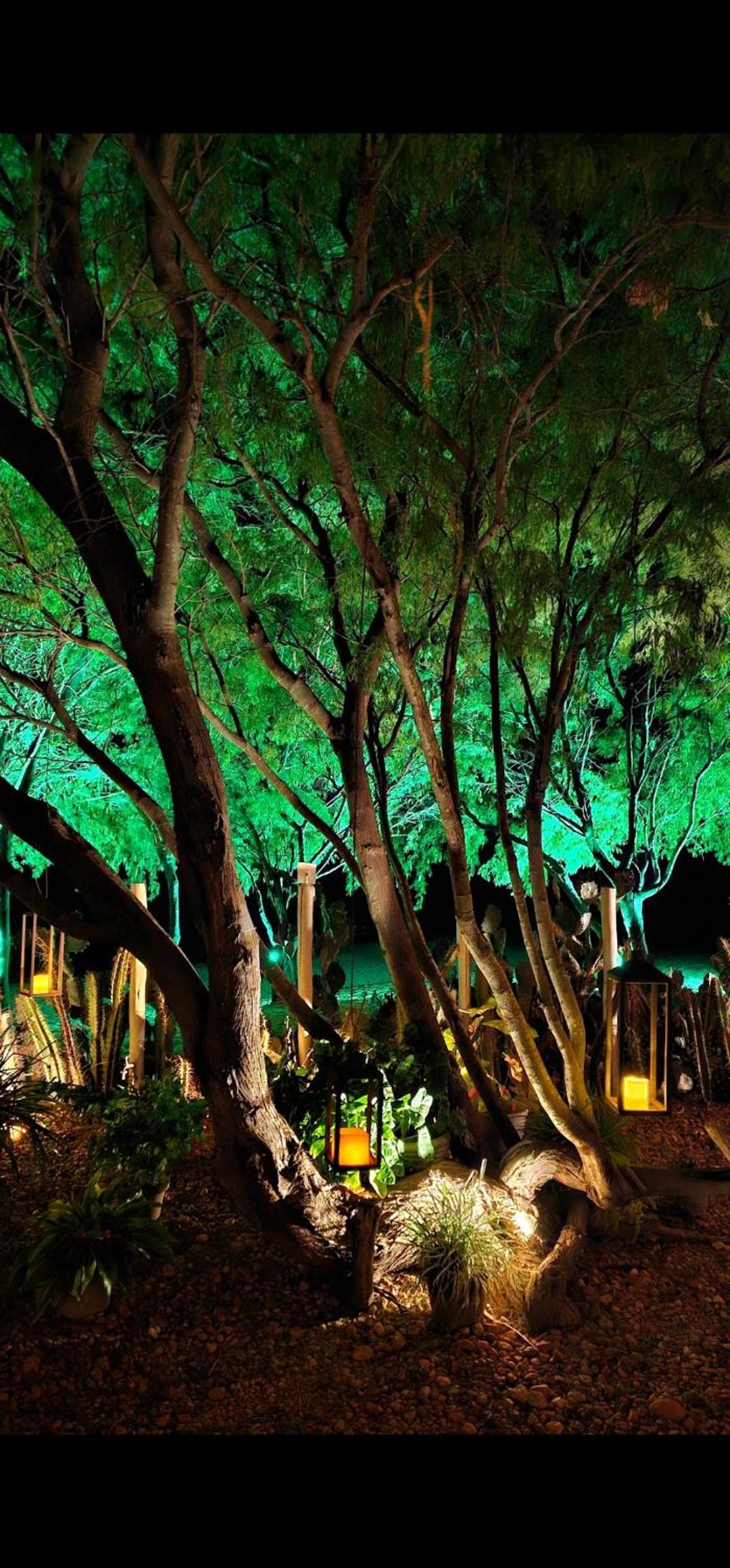 Casa Cactus Praia