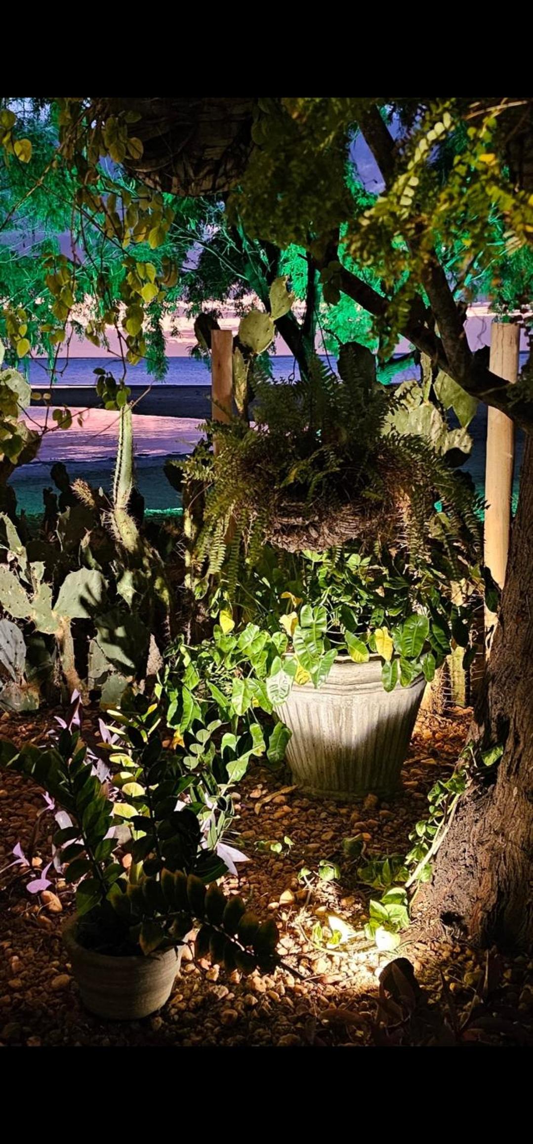 Casa Cactus Praia