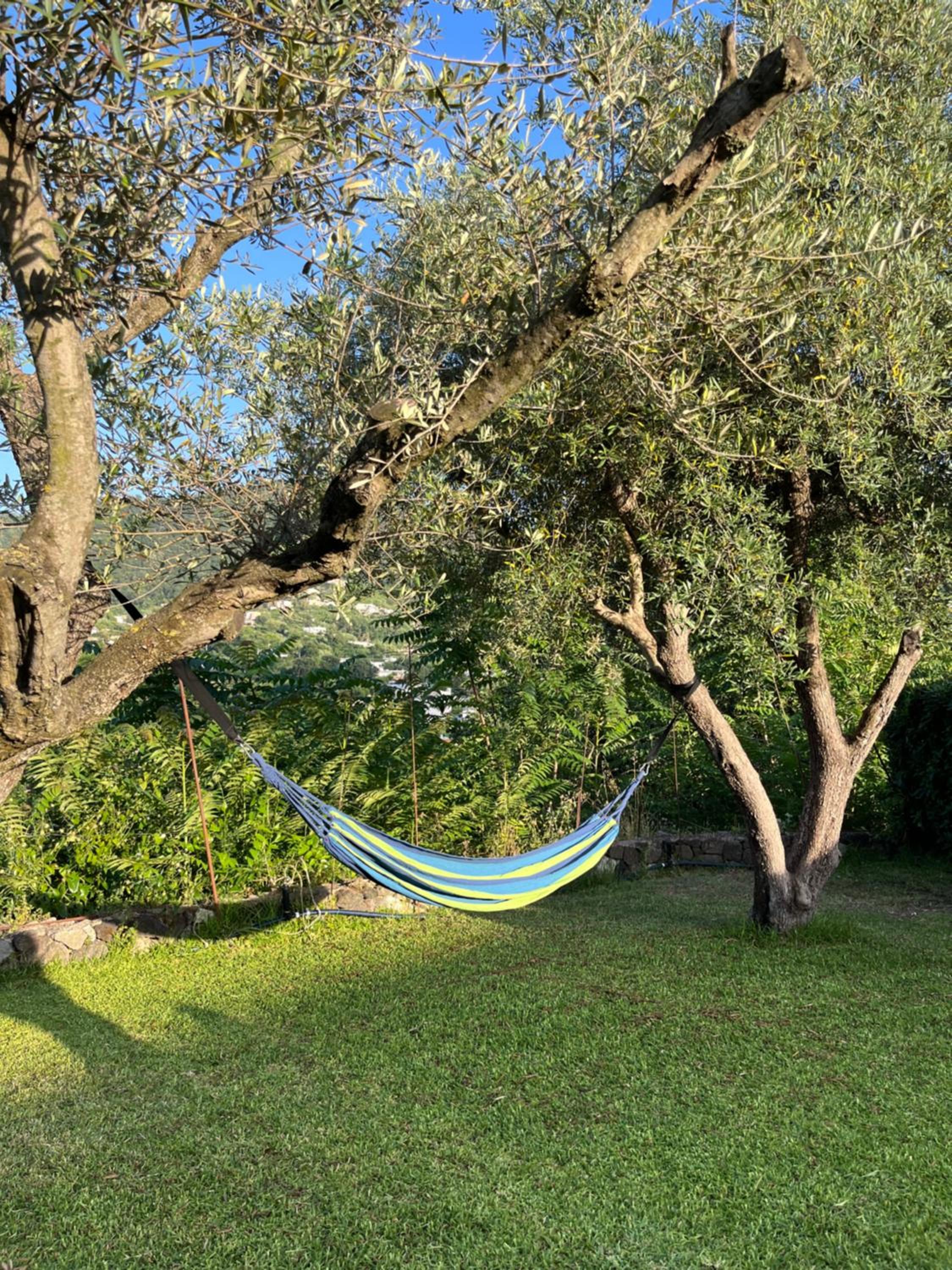 Casa dei Nonni view 4