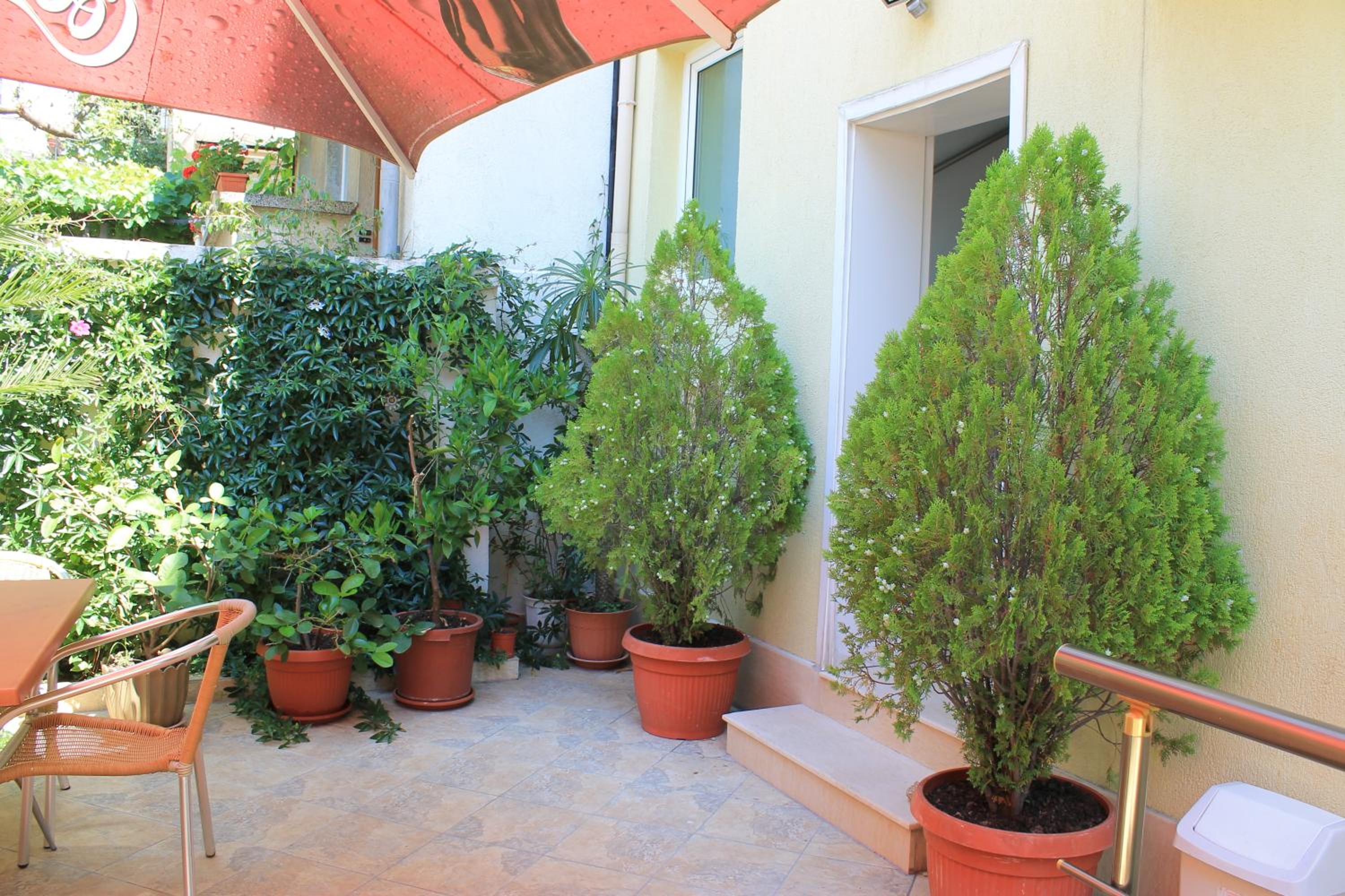 Stela Guest House
