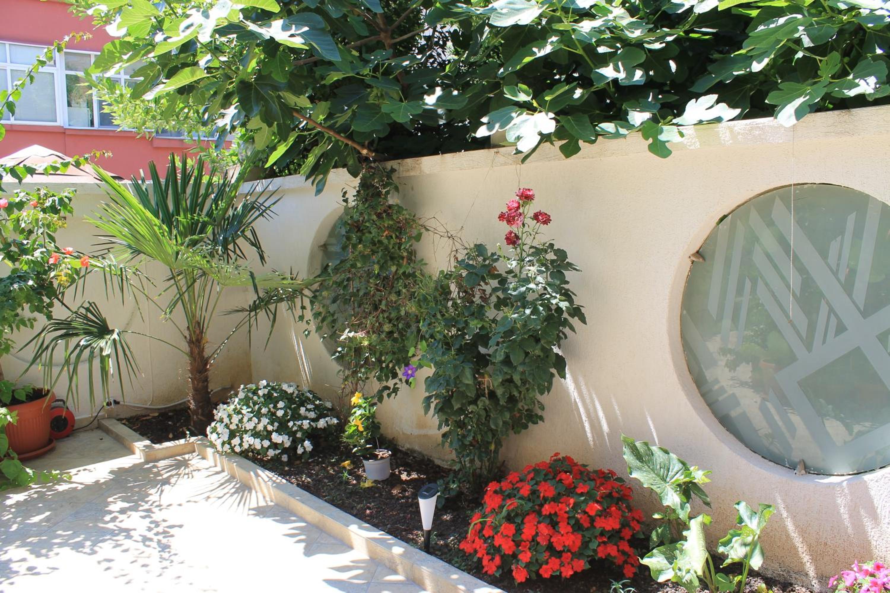 Stela Guest House