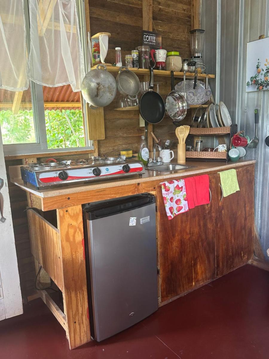 Ecovillalova — photo 5