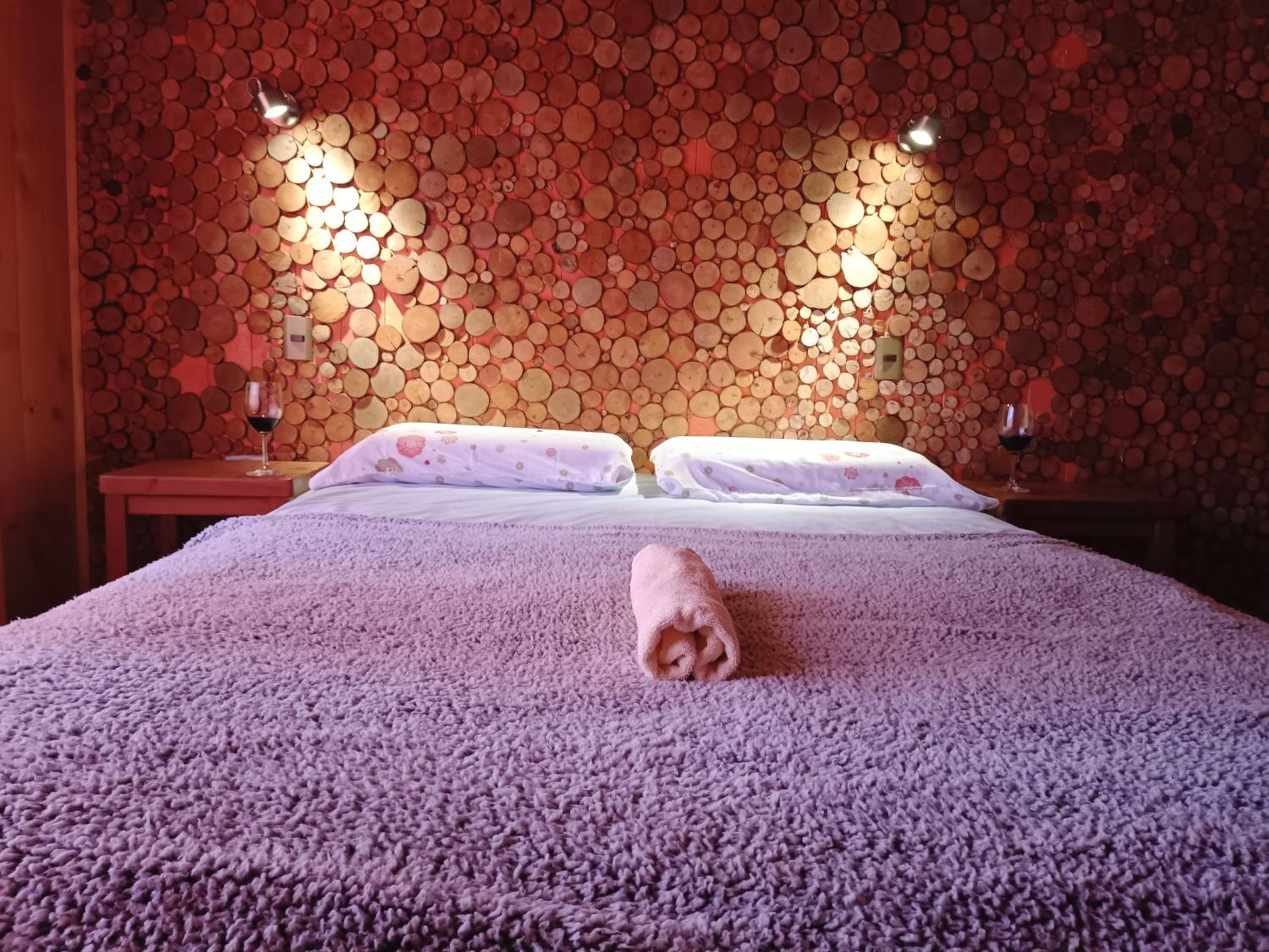 Hostel Calafquen Adventure Coñaripe