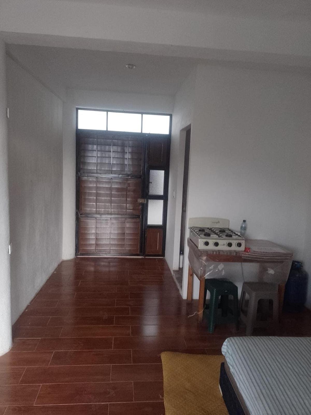 Flor Jazmin view 4