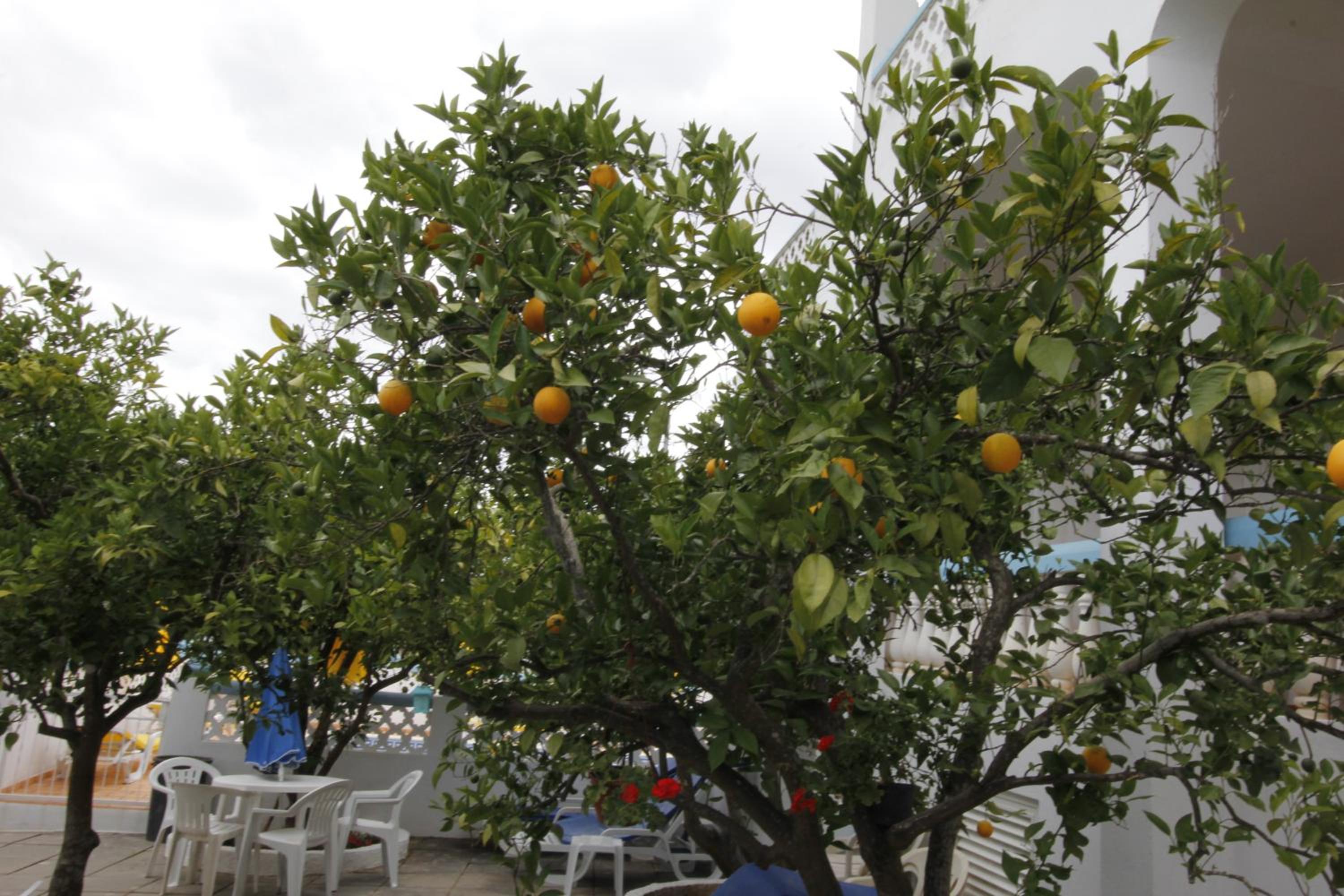 Photo 43