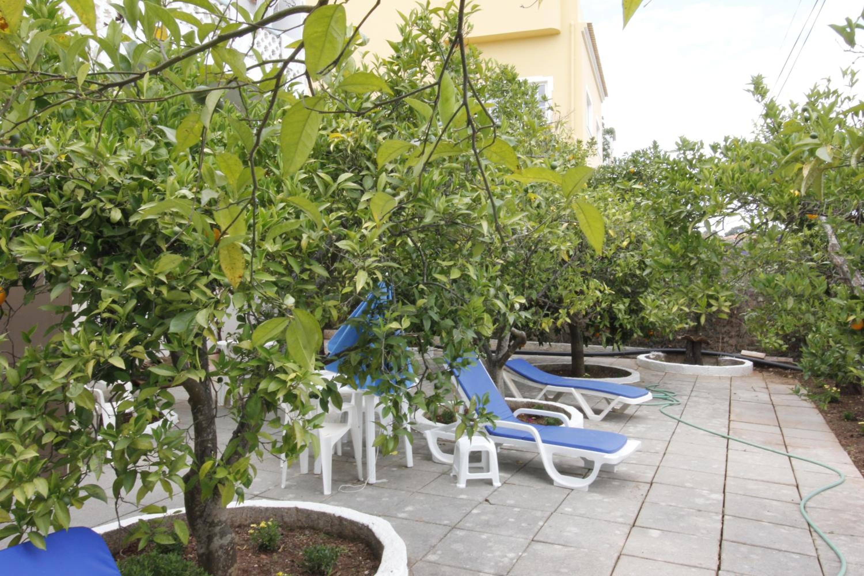 Photo 46