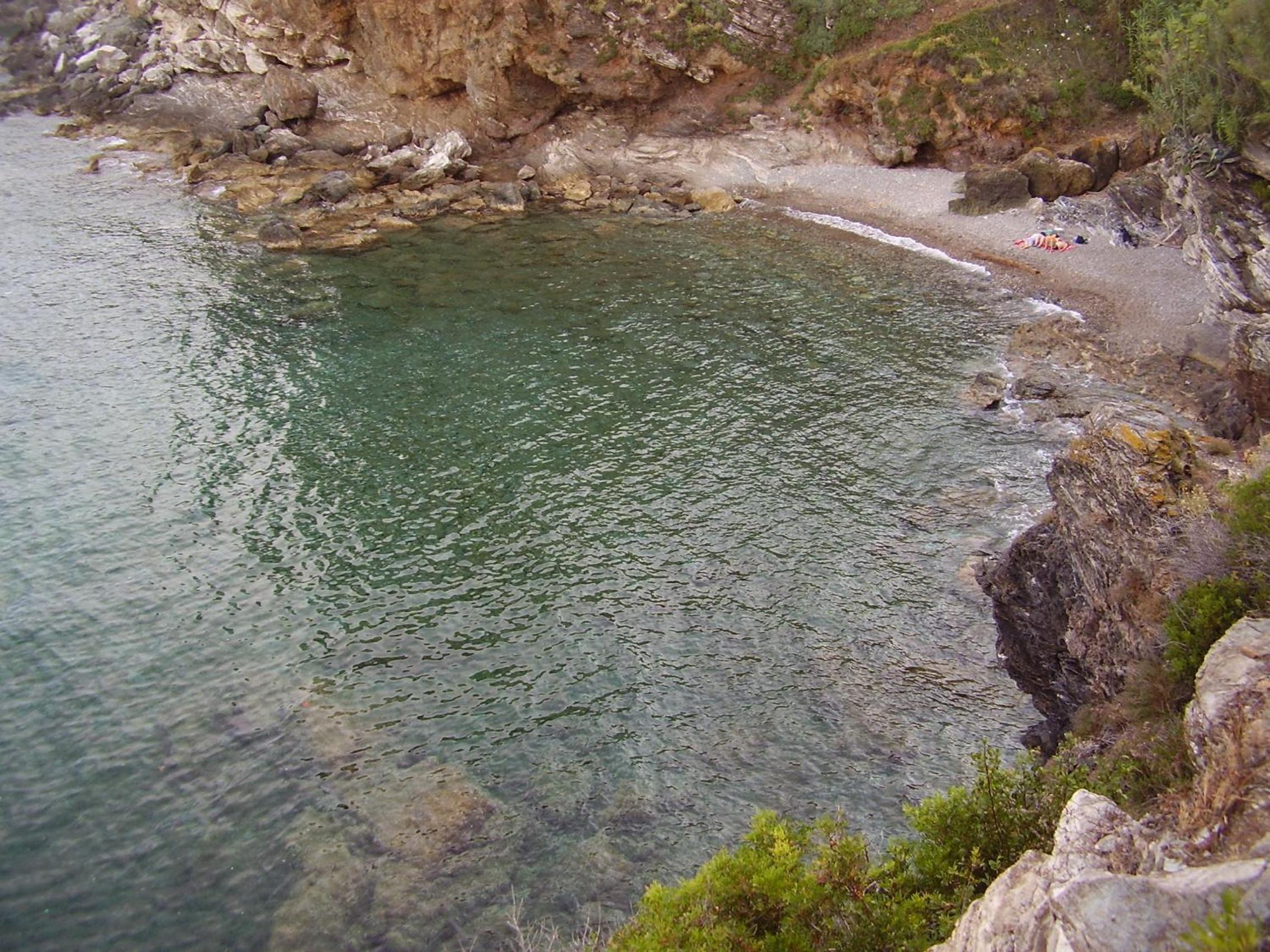 Photo 42