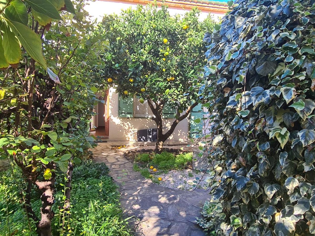 Maison Banyuls-sur-Mer, 4 pièces, 6 personnes - FR-1-309-34 view 2
