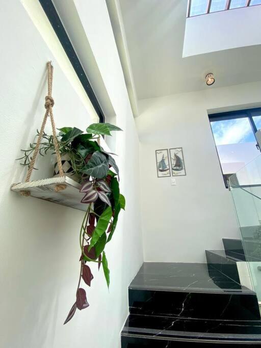 Photo 33