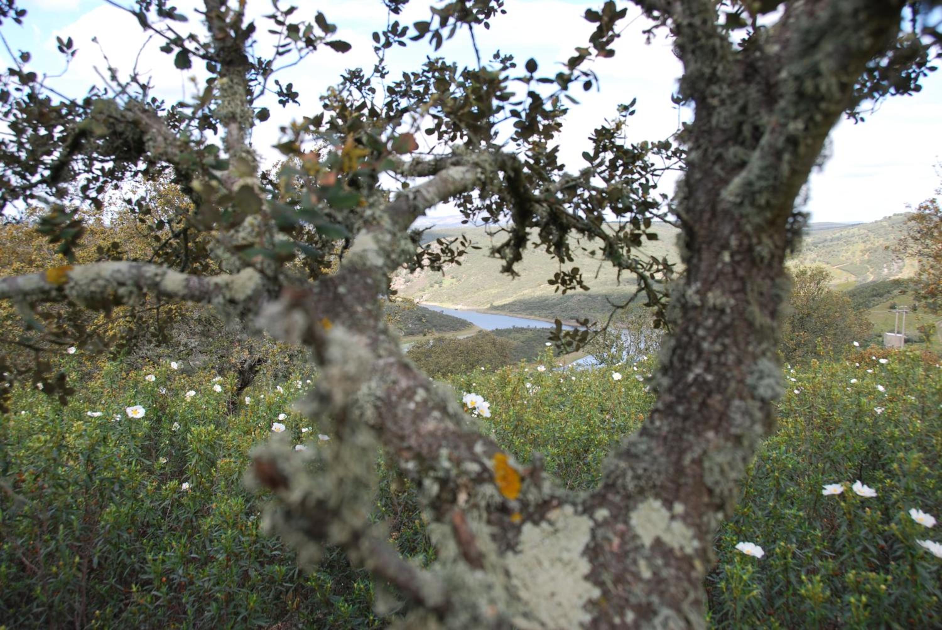 Photo 46