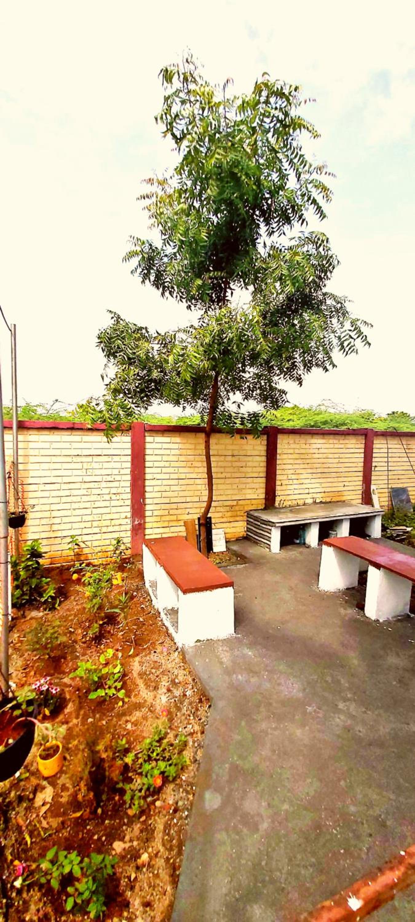 Mahalakshmi Homestay