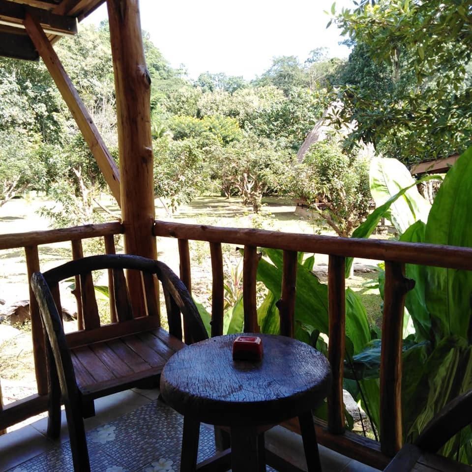 At Home Chiang Dao, Pooch Lovers