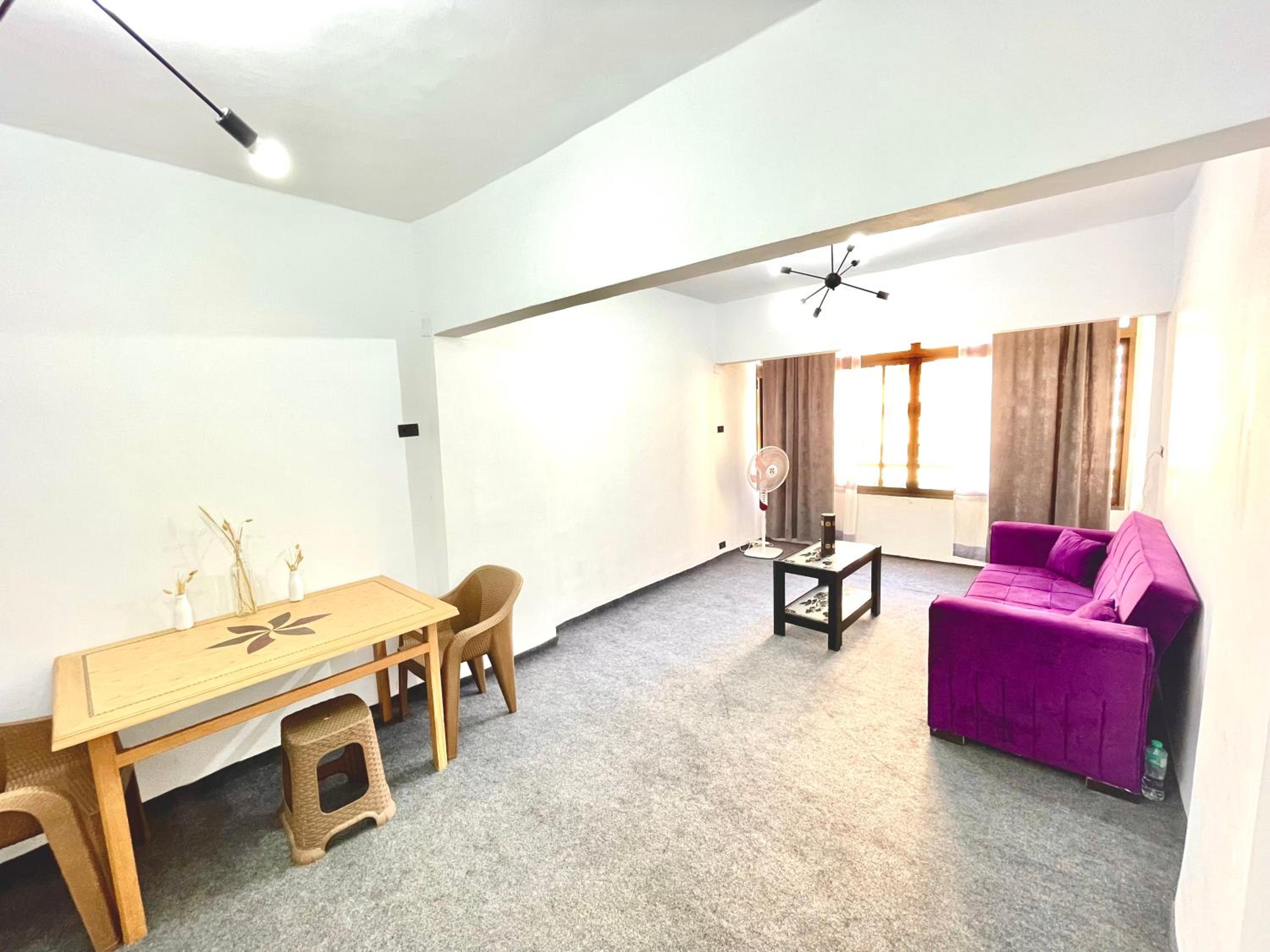 Cozy large apartment with work space