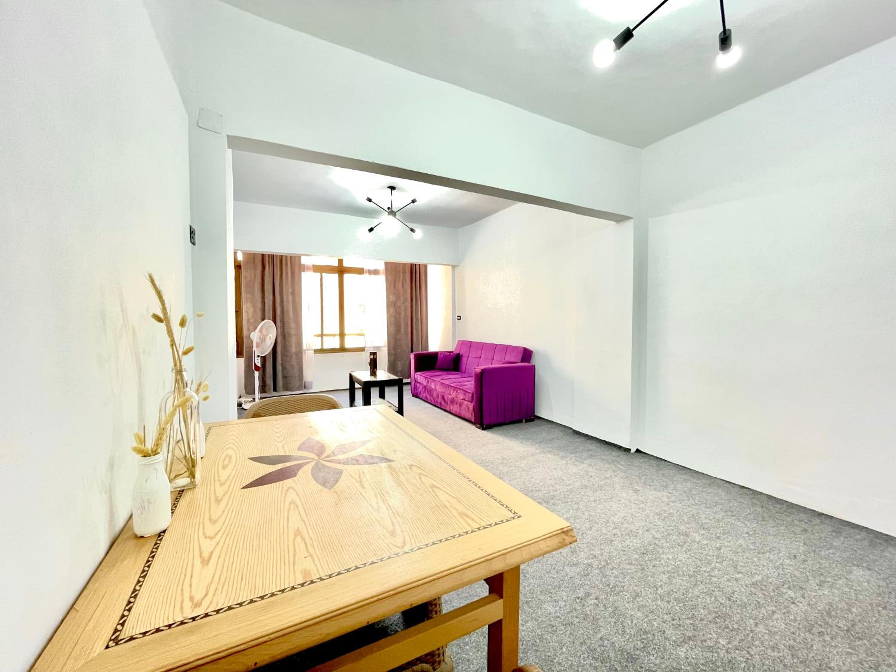 Cozy large apartment with work space