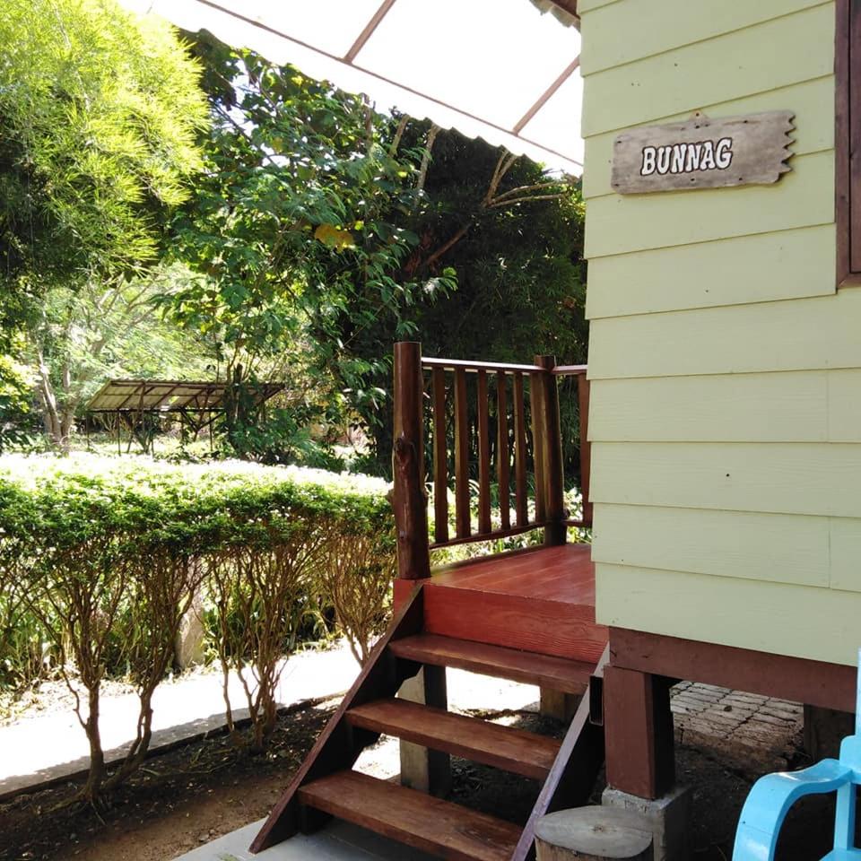At Home Chiang Dao, Pooch Lovers
