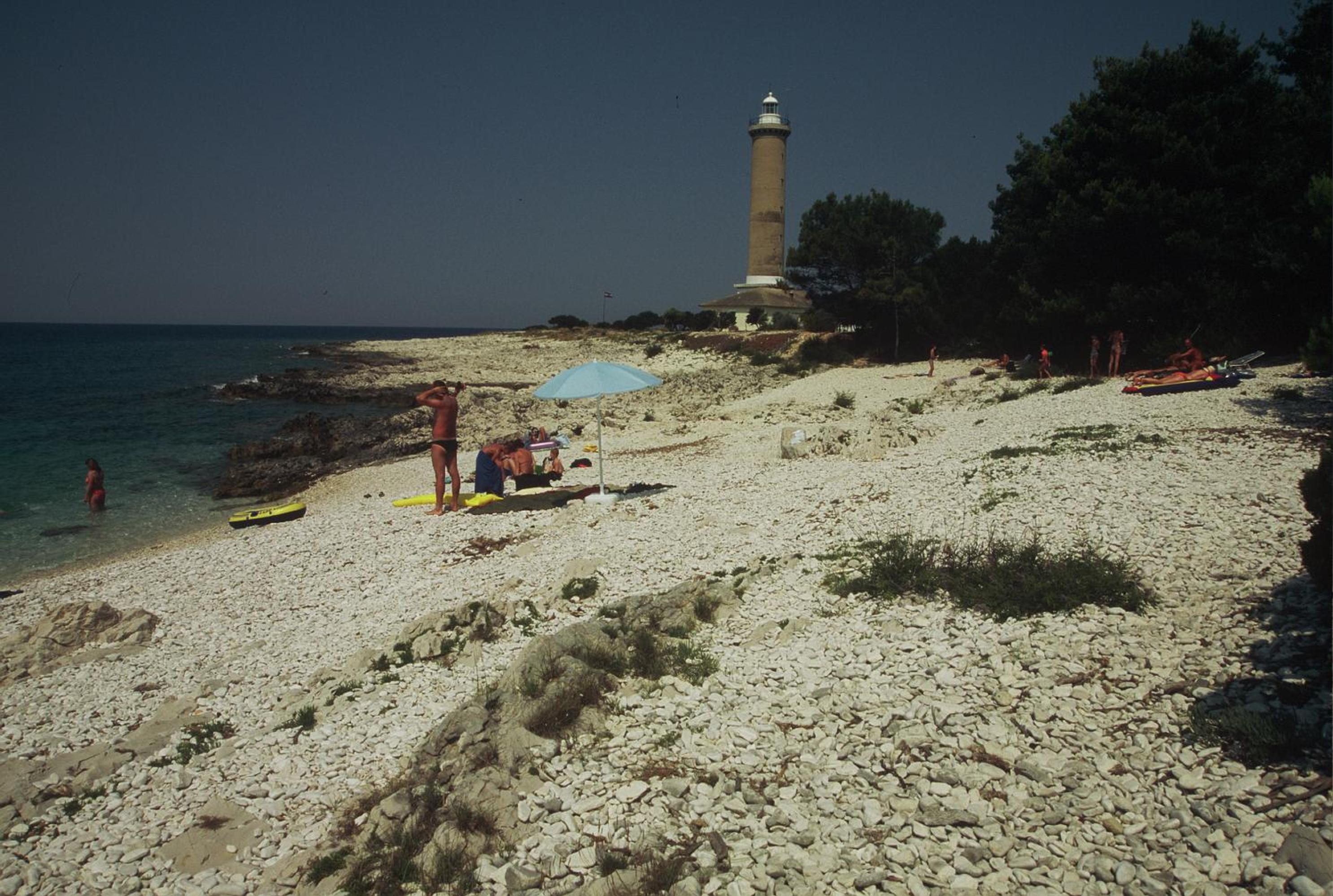 Photo 45