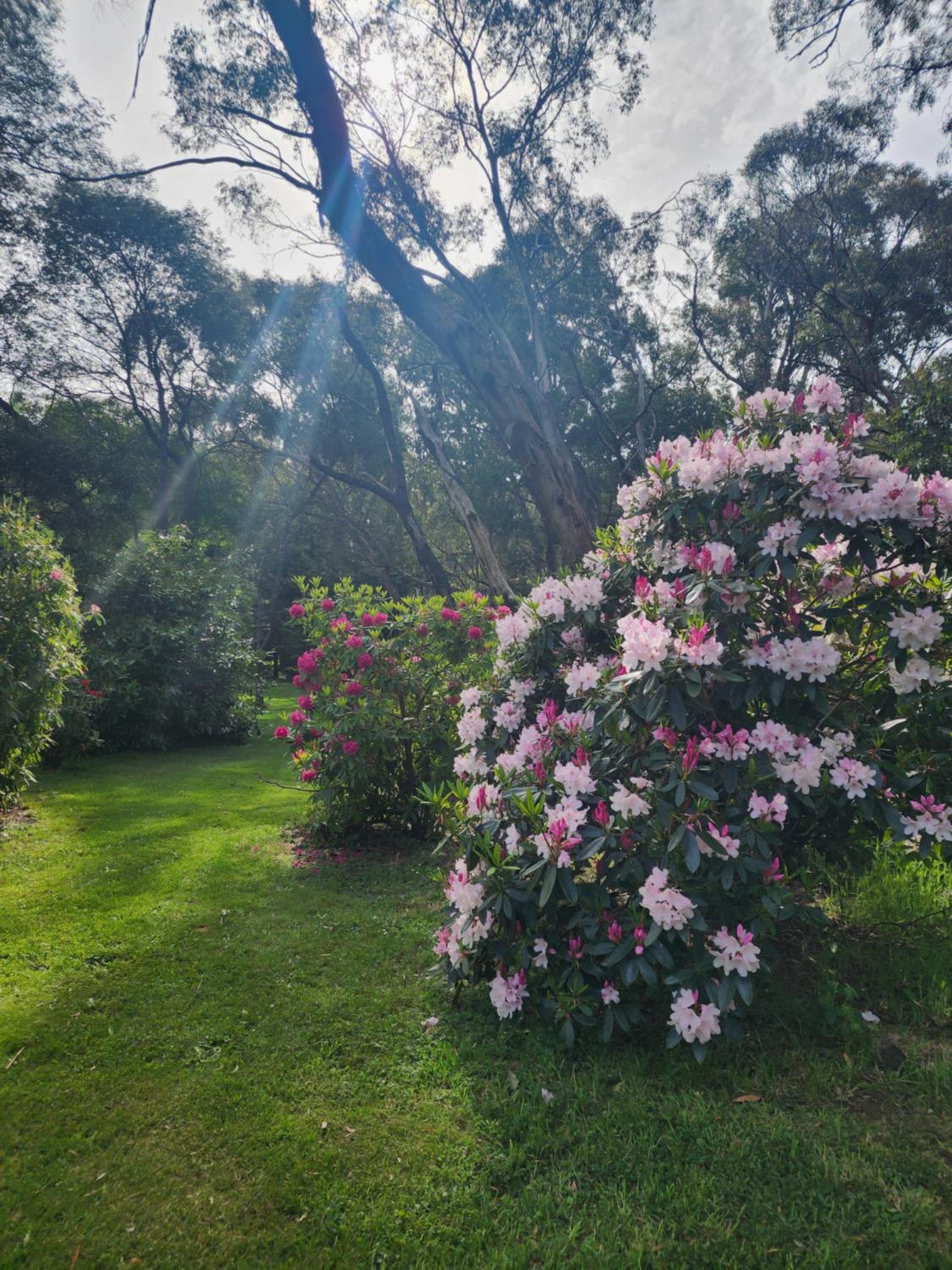 Daylesford - FROG HOLLOW ESTATE - The Homestead