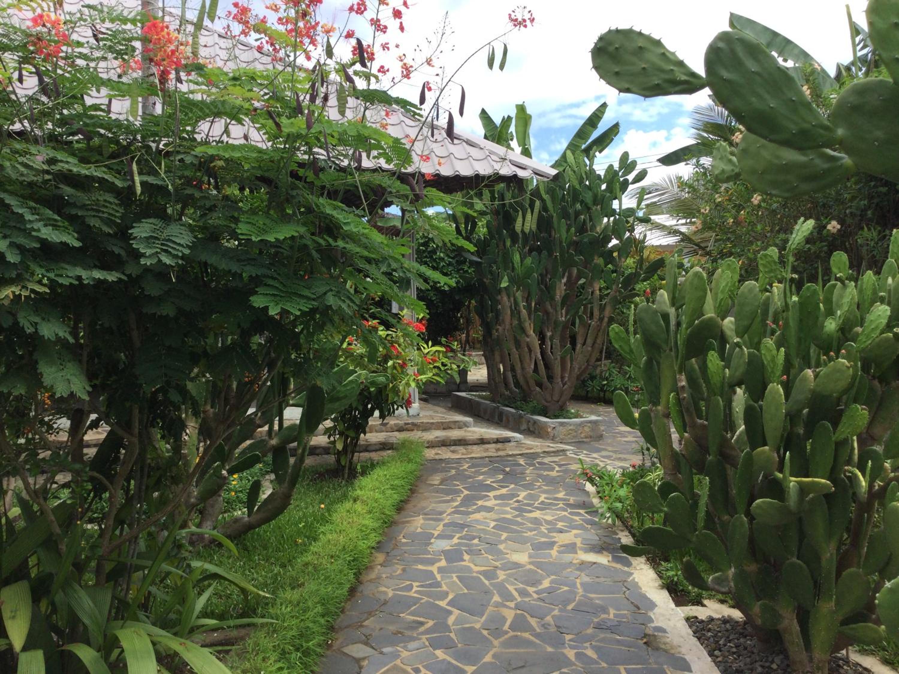 Photo 15