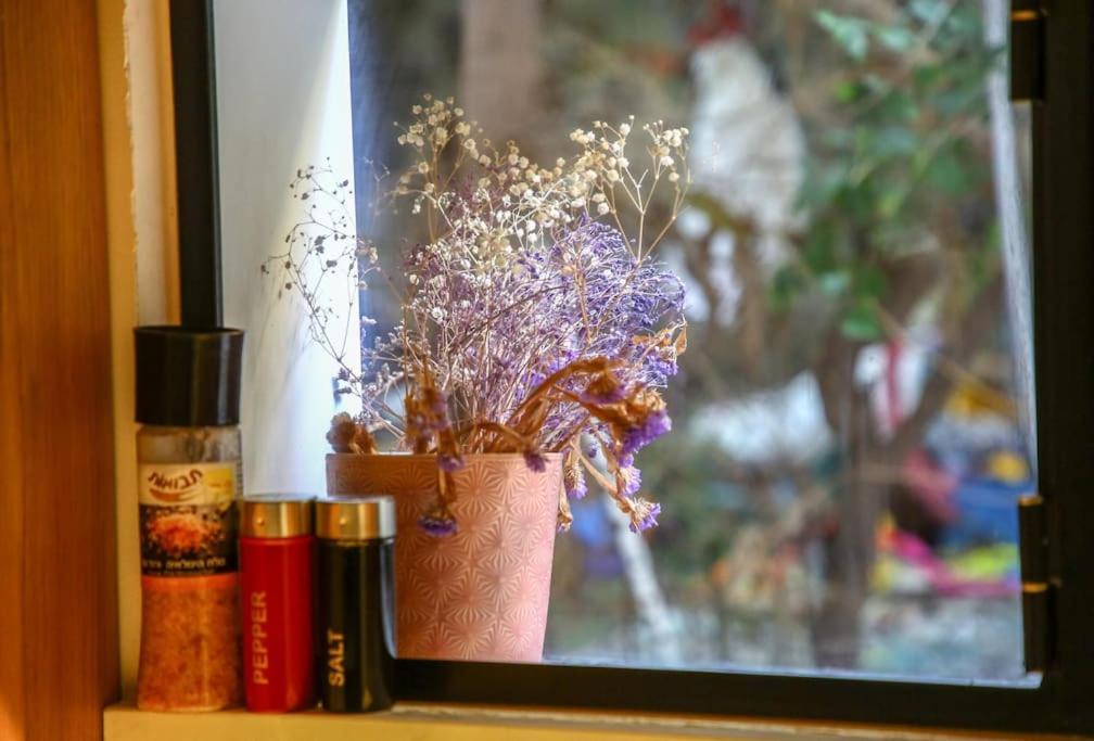 Boutique 1BR Garden TLV Apartment view 5