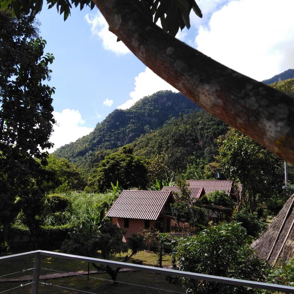 At Home Chiang Dao, Pooch Lovers