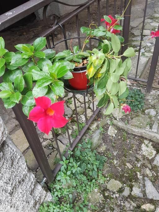 LA CORTE DELLA CARLA - cozy home in the old court