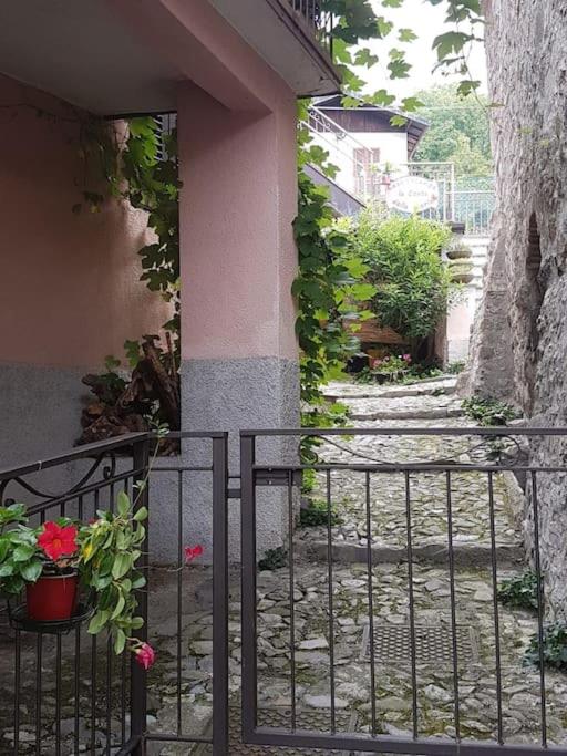 LA CORTE DELLA CARLA - cozy home in the old court