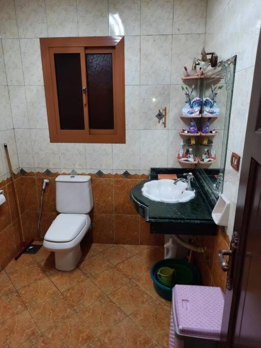 Nasr City Home: Near Landmarks