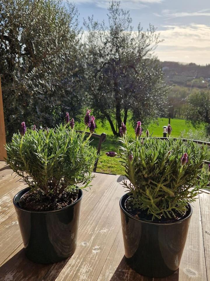 Panorama e Relax en Peccioli — other