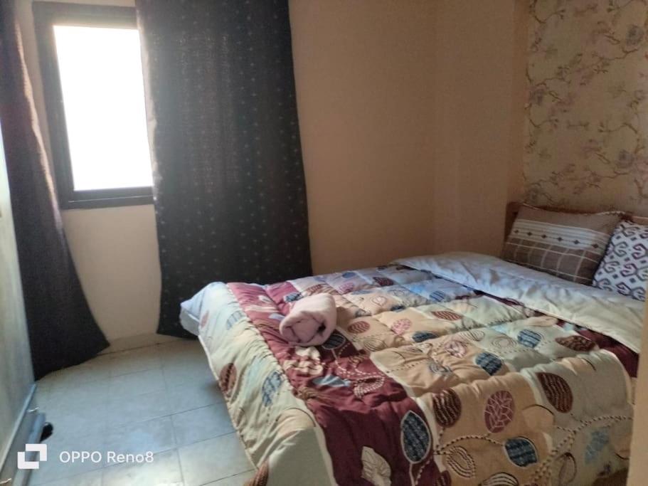 Cozy apartment Maadi Ring road