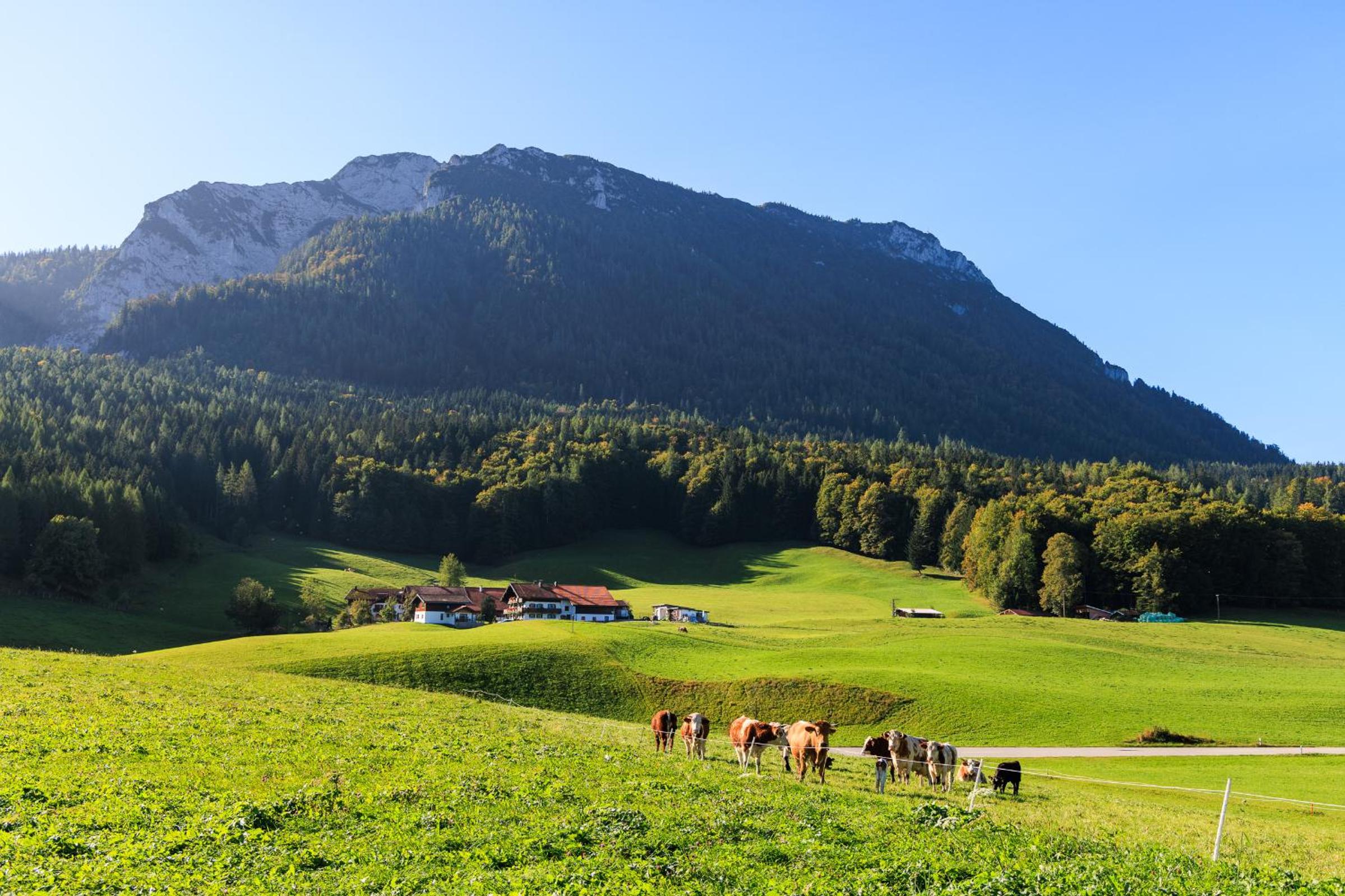 Oberaschenauer-Hof inkl. Chiemgaukarte view 4