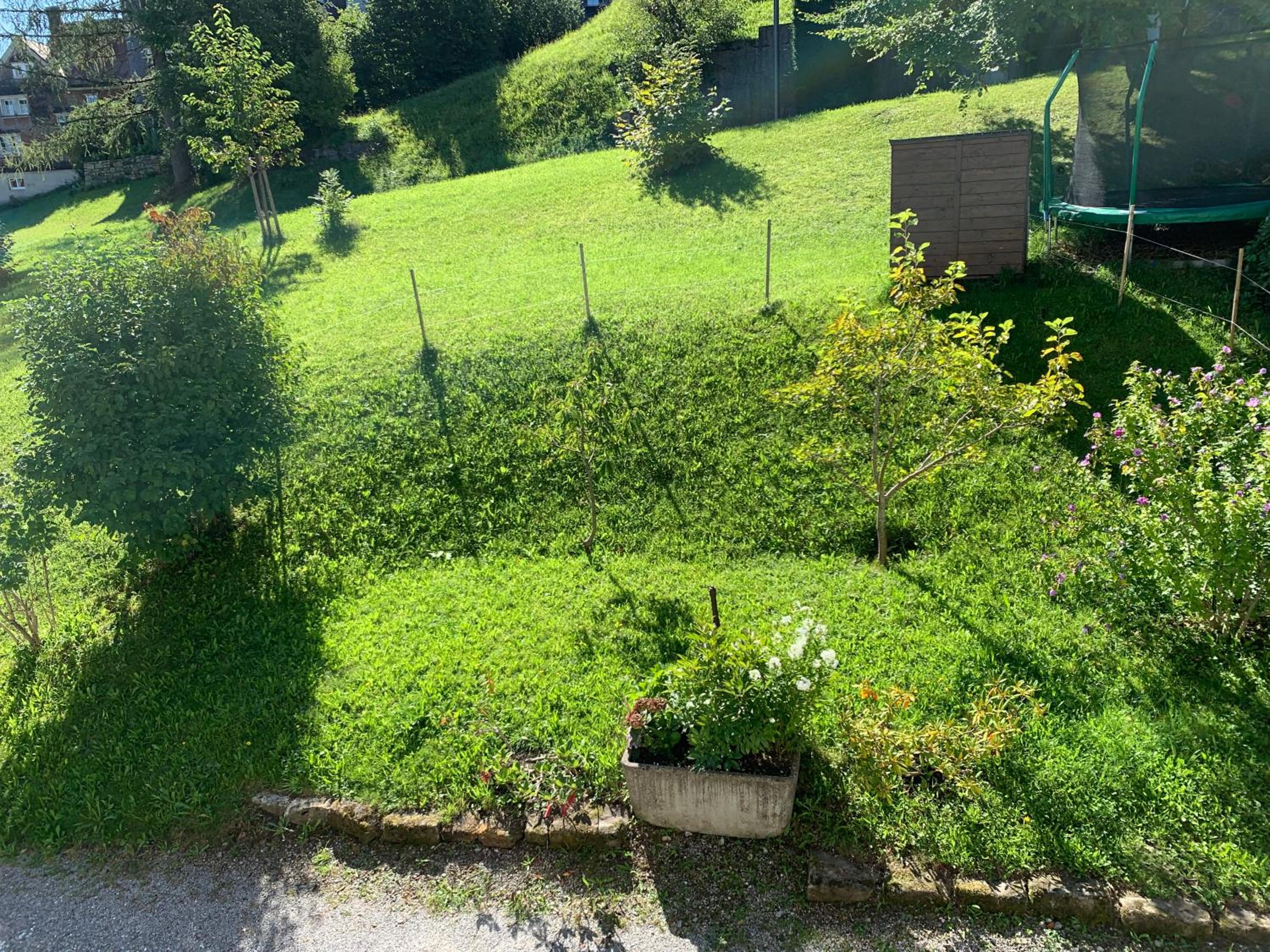 Photo 21