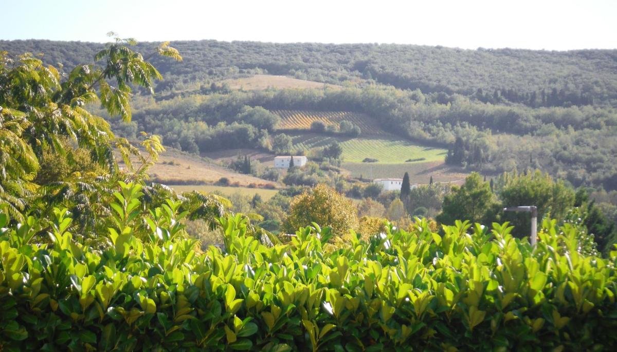 Les Lauriers