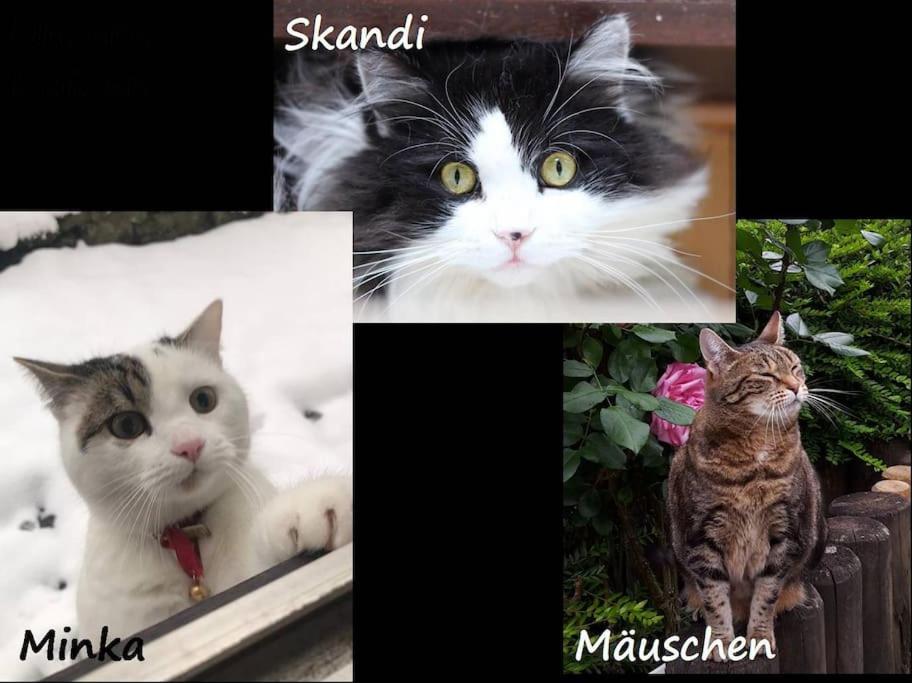 other
